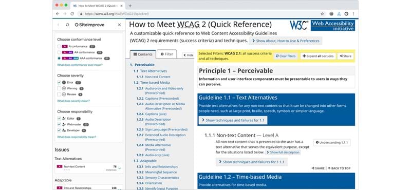 Screenshot of SiteImprove accessibility tool